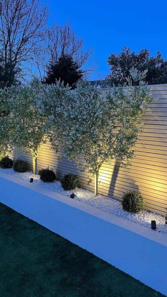 Garden Bed